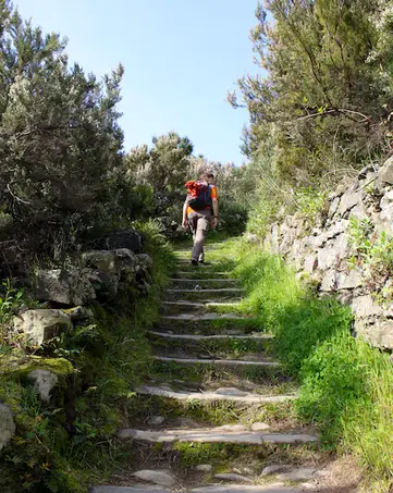 steep-hiking-paths.jpg.webp