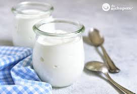 ¡Haz tu propio yogurt en casa!