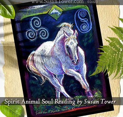 A Spirit Animal Soul Reading of a white horse and a triple spiral