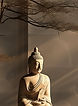 Zen Buddha Decor_edited.jpg