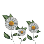 Untitled design (38).png