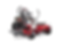 Toro Timecutter