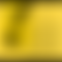 Ispirazione e (tanto) lavoro