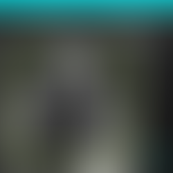 Networking in Lisbon