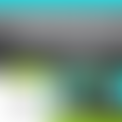 FinTech Connect 2025