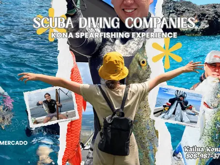 scuba diving companies