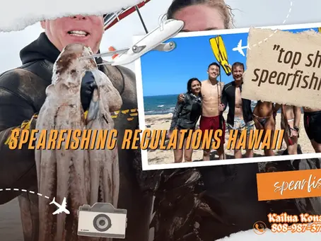 spearfishing regulations hawaii
