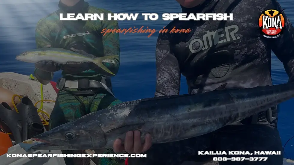 learn how to spearfish