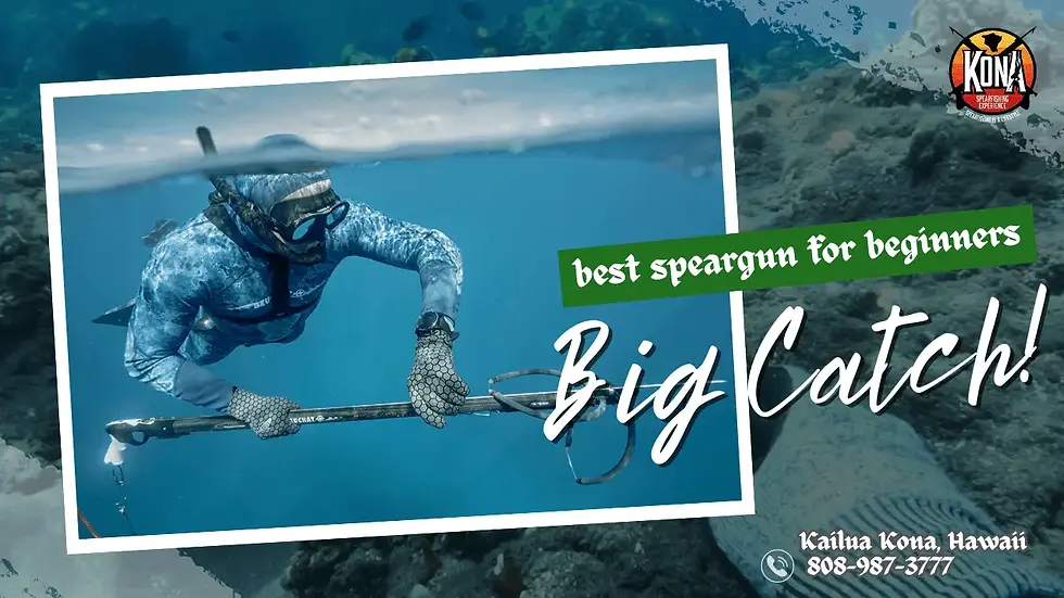 spearguns for beginners