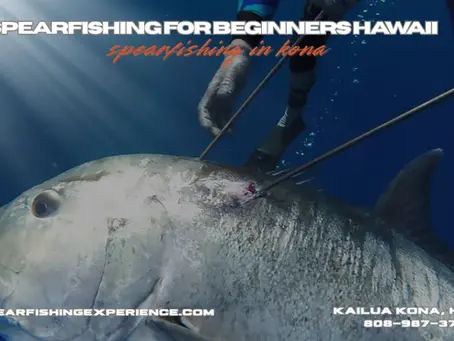 Spearfishing for Beginners Hawaii – Learn & Adventure Safely