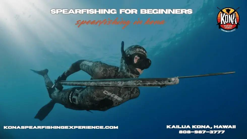 spearfishing for beginners
