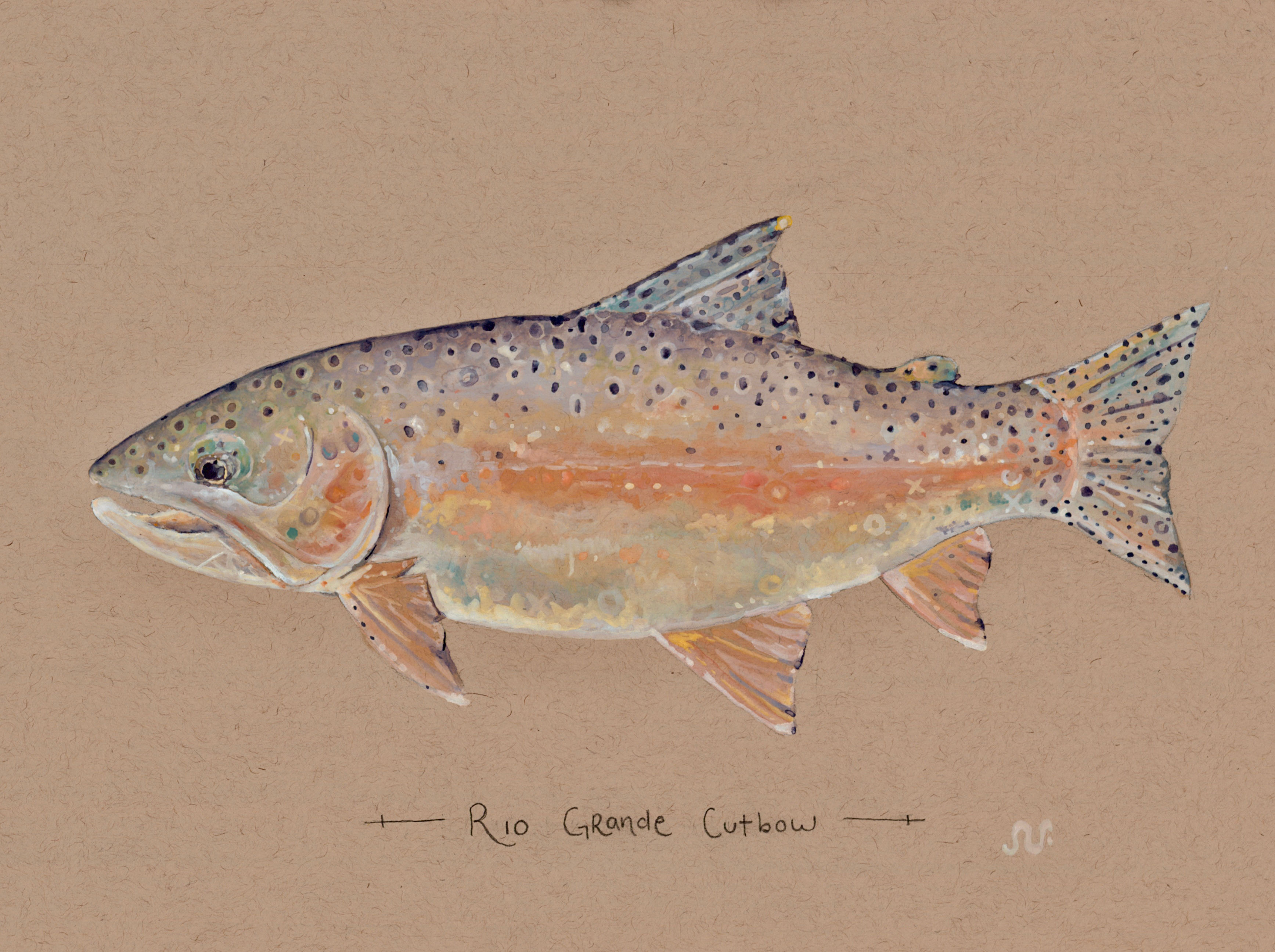 Rio Grande Cutbow Print