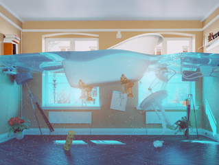 Rafael, how can I avoid a costly plumbing emergency?