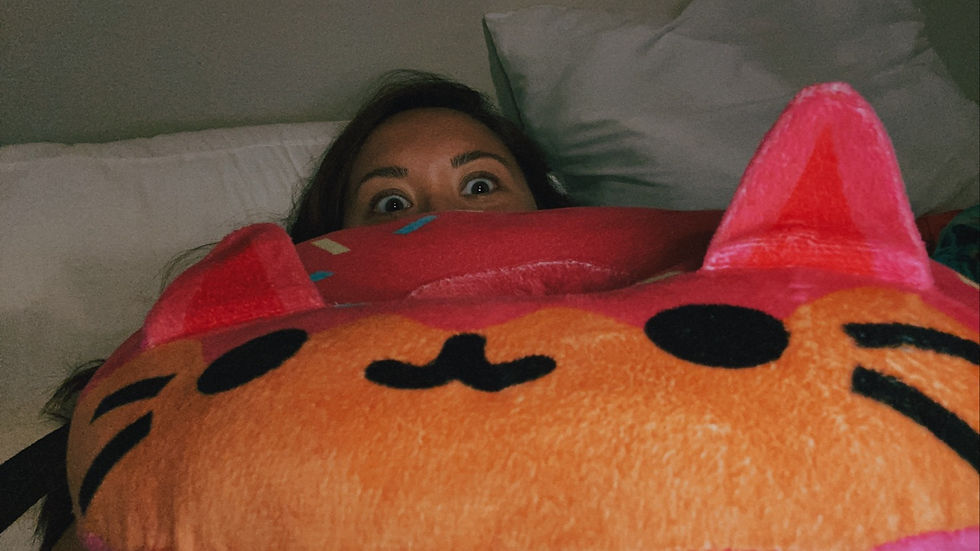 donut cat pillow