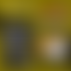 Resultado GP da Holanda F1 T13 2/8