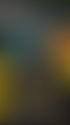 Resultado GP da Grã Bretanha F1 T19 - 2/6