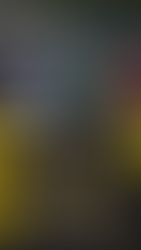 Resultado GP do Bahrein F1 T19 - 1/6