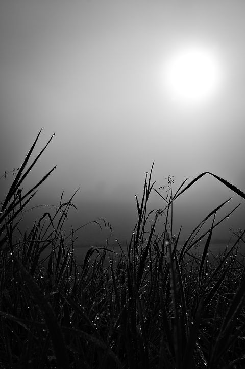 Paysage embrumé et énigmatique