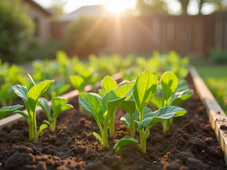 Top Spring Vegetables and Herbs to Grow in Your Northern California Garden for Delicious Summer Meals