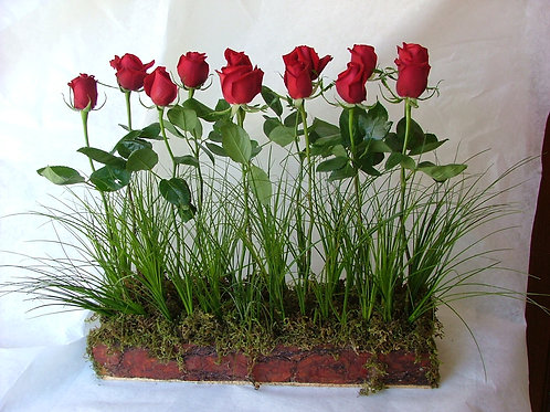Jardín de Rosas | lokreativo