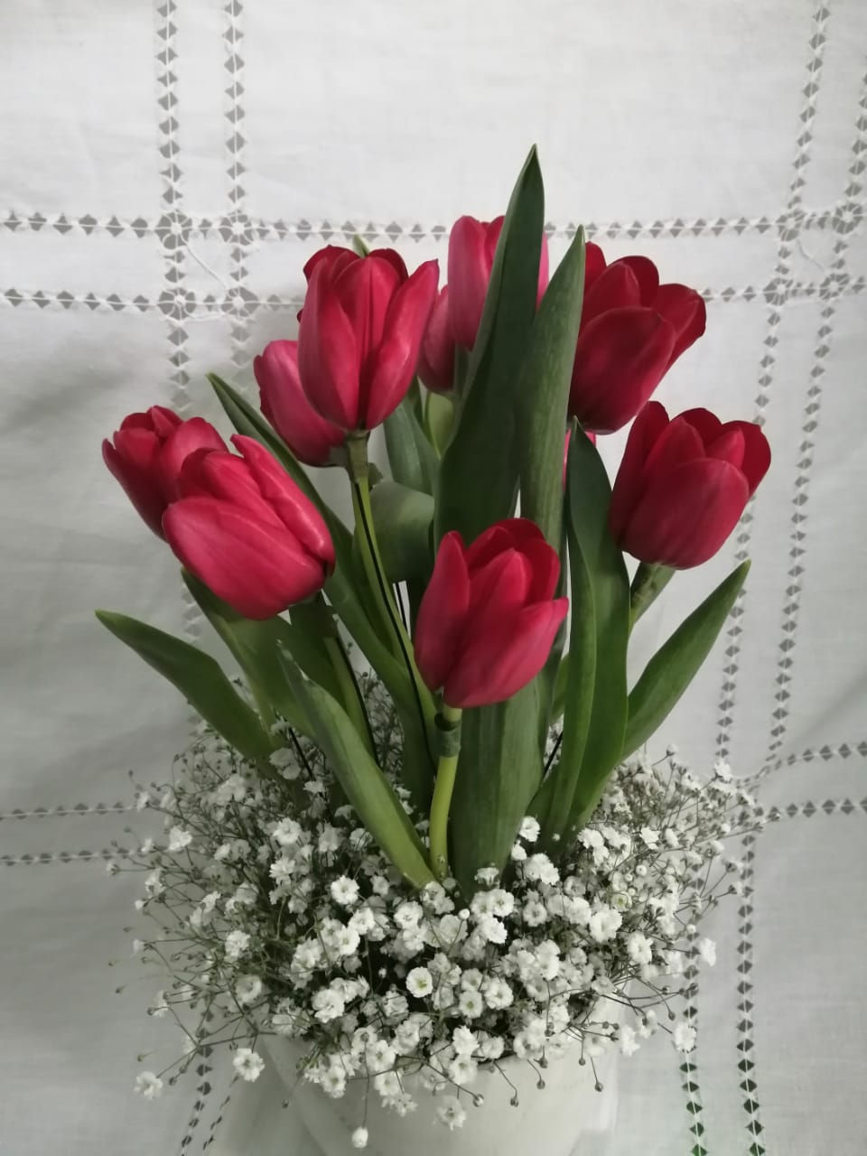 Tulipanes