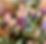IMG_6406.JPEG