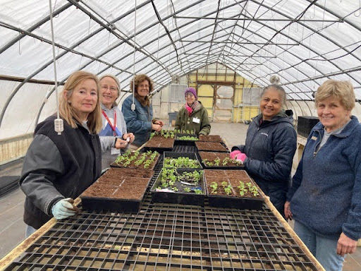 April 2025 Volunteer News & Updates