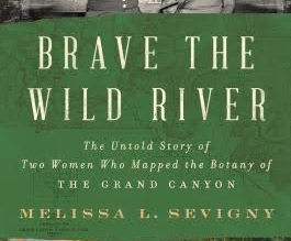 Brave the Wild River Book Cover