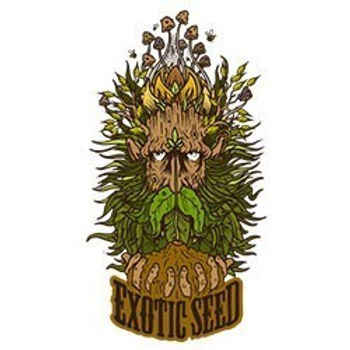 exotic-seeds.jpg
