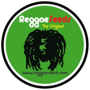 reggae-seeds.jpg