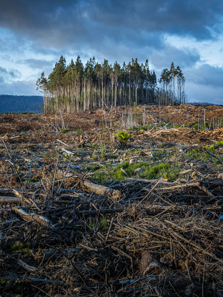 Simple Ways to Help Stop Climate Change