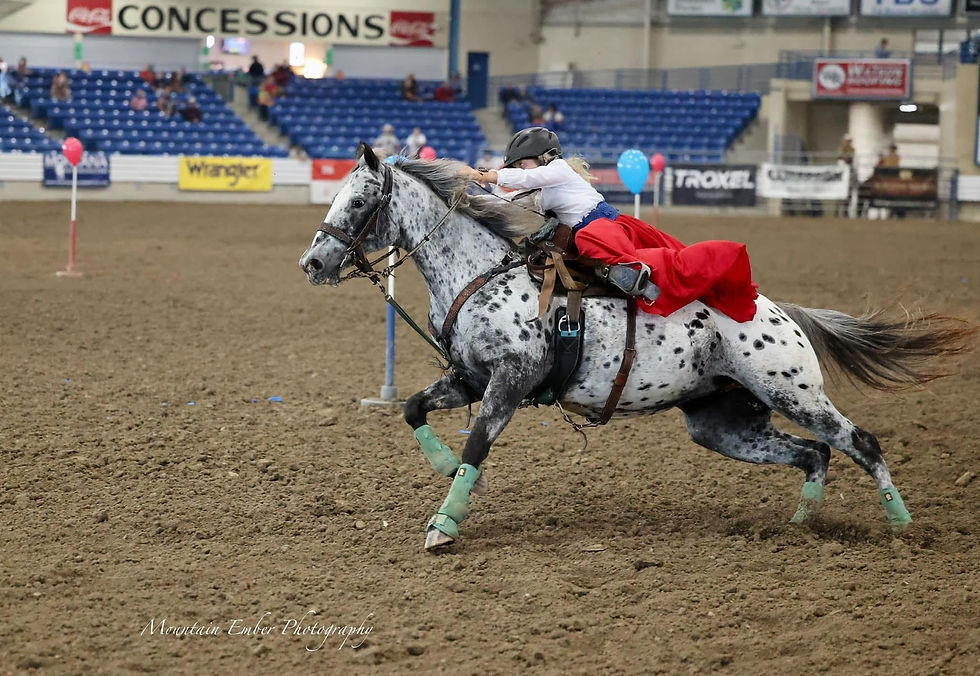 Statesboro, GA - Wrangler Beginner Mounted Shooting Clinic 