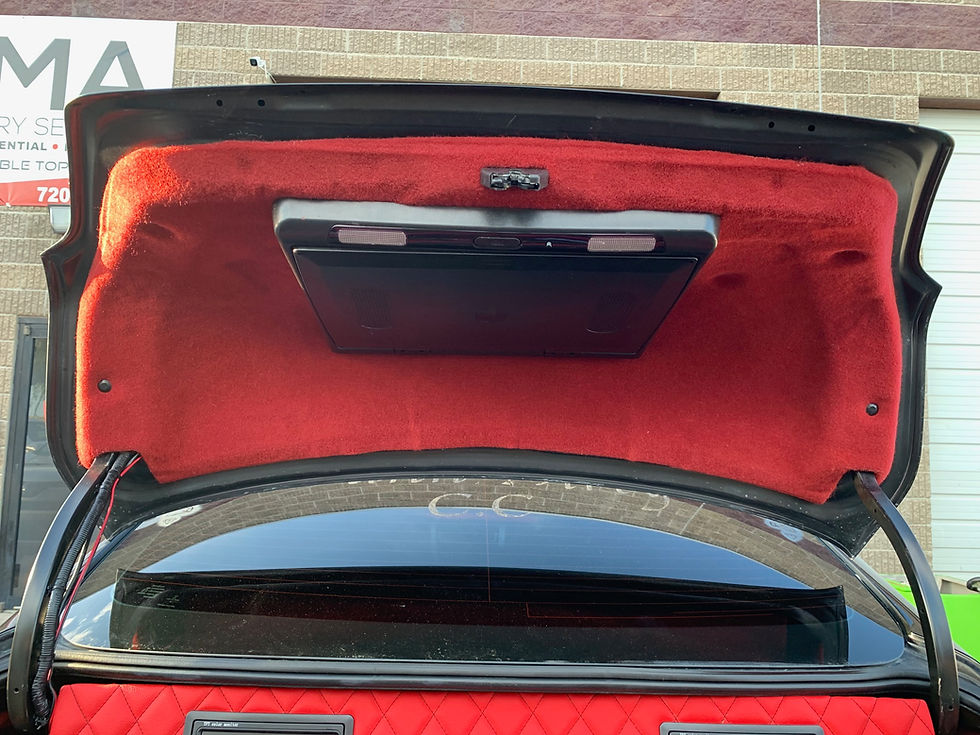 Trunk