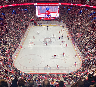Habs-Night.heic
