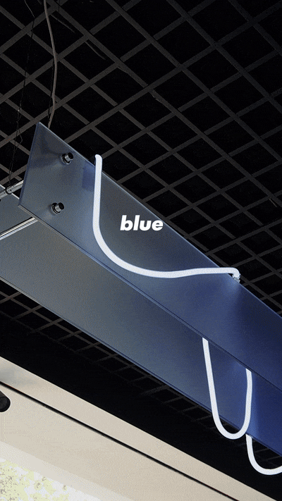 NEON BLUE WHITE 4