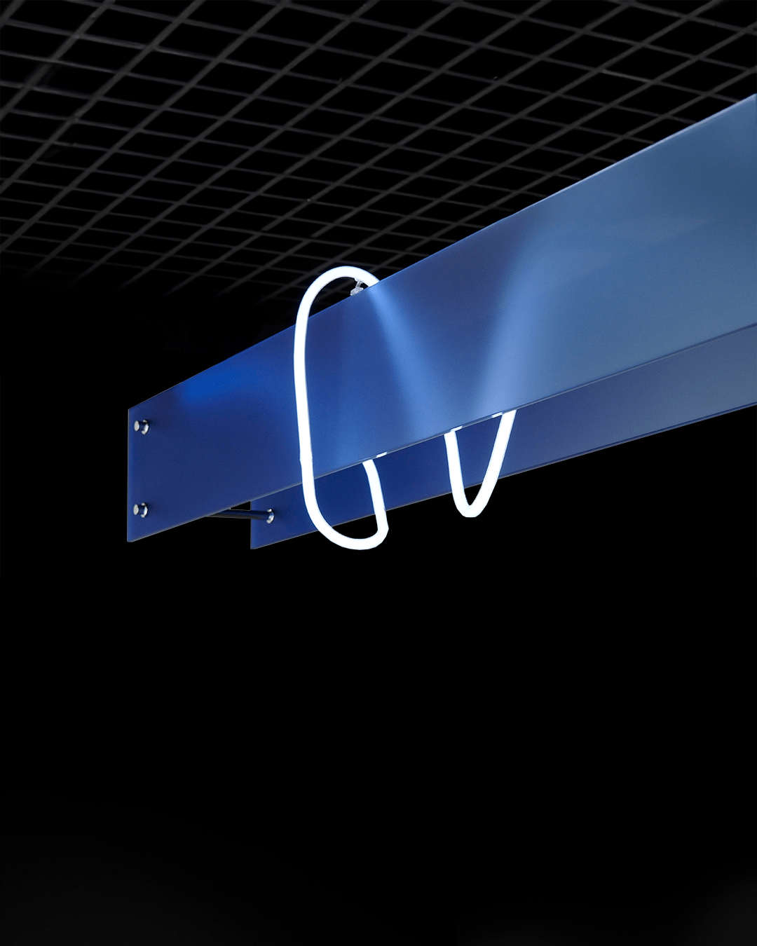 NEON BLUE WHITE 5