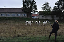 _DSC8079.jpg