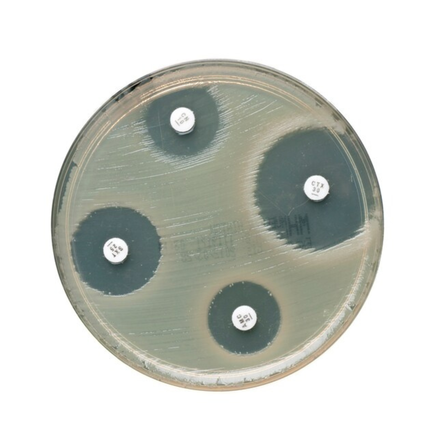 SULPHAMETHOXAZOLE/TRIMETHOPRIM SXT25 5CRT/PK