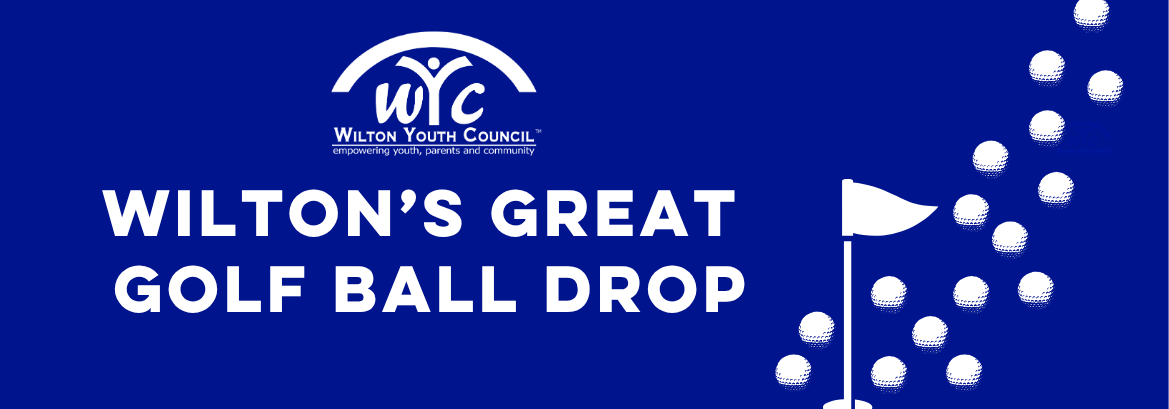 balldrop banner 2026.png