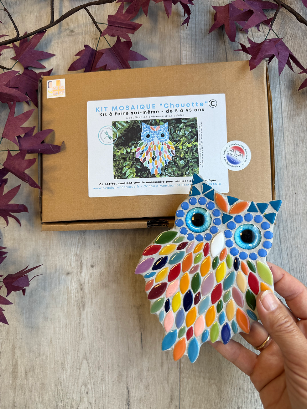 Présentation kit mosaique chouette