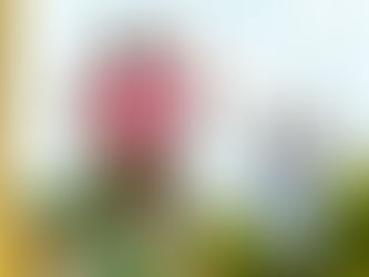 Growing Angels Inc. Needs Your Help!