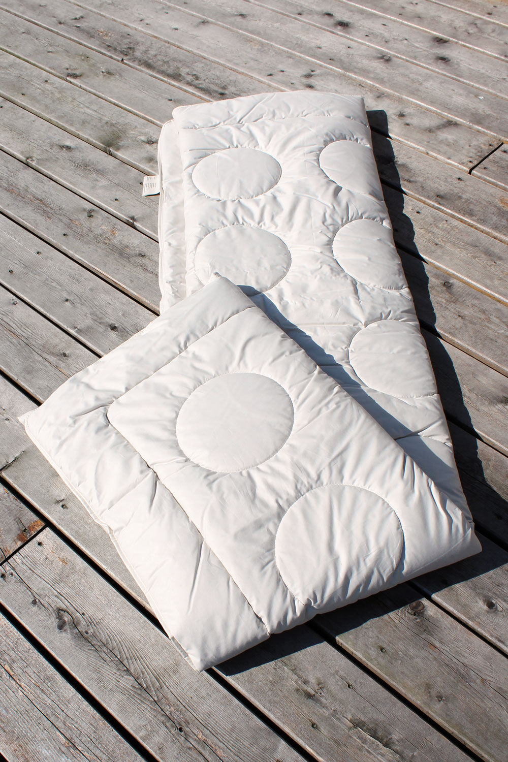 Die Gesteppte - Kamel