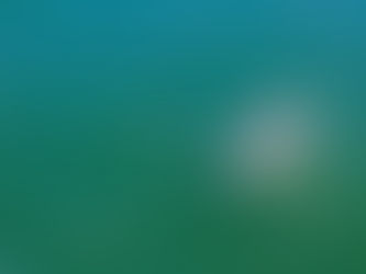 2020 Ocean Crossing Attempt - 37 days - reflection.  English version. 