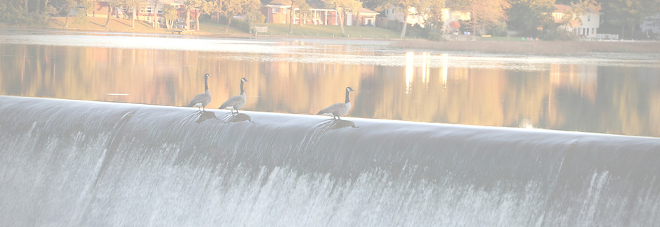 LAKE_edited.jpg