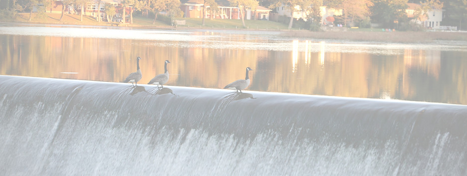 LAKE_edited.jpg