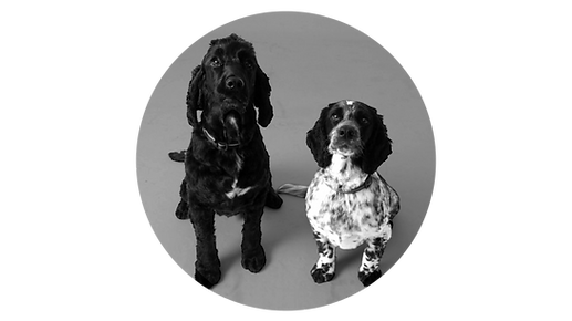 Milo and Lola