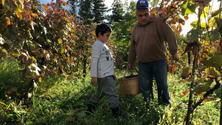 That's a Wrap! Completing Harvest, Final Footage