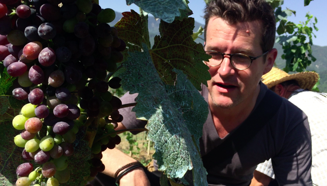 Racha Begins to Ripen