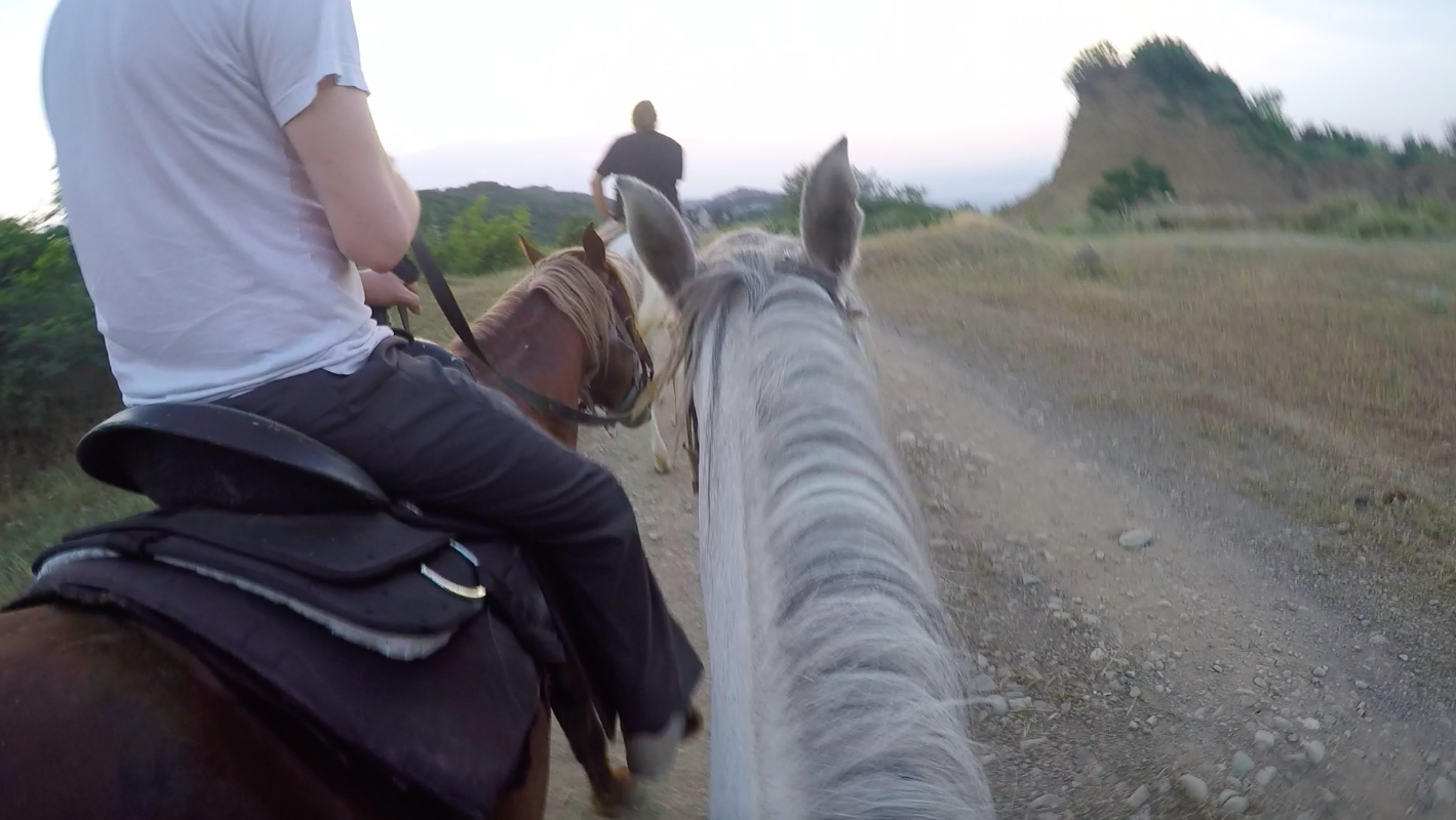 Horses at Dusk