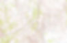 iStock-517712633.jpg